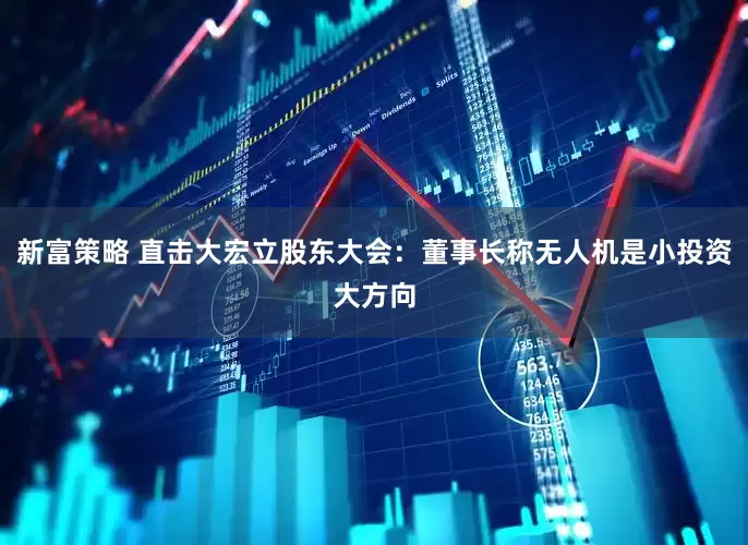 新富策略 直击大宏立股东大会：董事长称无人机是小投资大方向