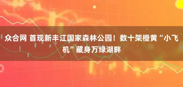 众合网 首现新丰江国家森林公园！数十架橙黄“小飞机”藏身万绿湖畔
