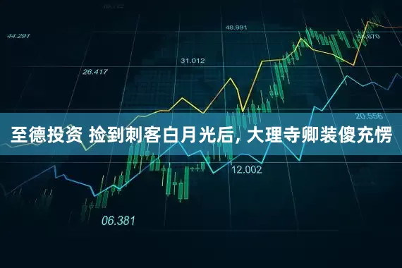 至德投资 捡到刺客白月光后, 大理寺卿装傻充愣