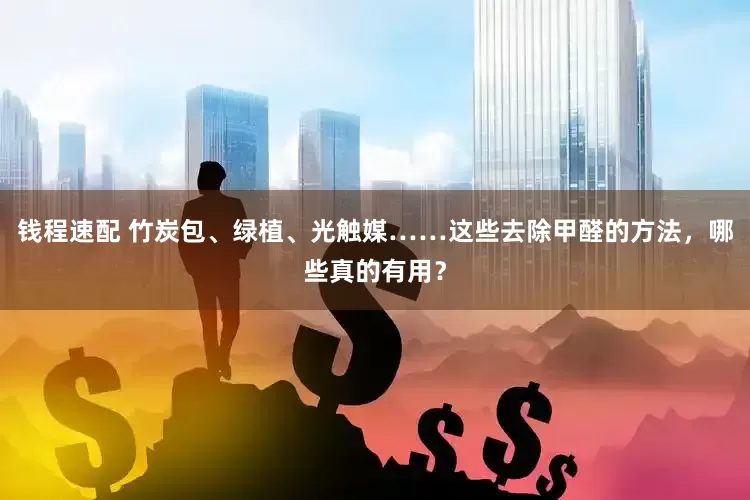钱程速配 竹炭包、绿植、光触媒……这些去除甲醛的方法，哪些真的有用？
